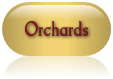 orchards